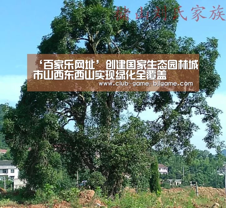 ‘百家乐网址’创建国家生态园林城市山西东西山实现绿化全覆盖