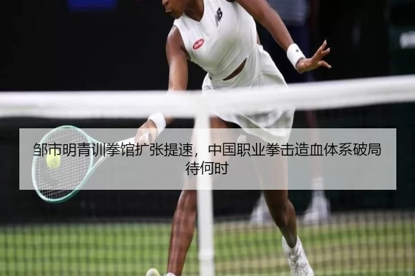 邹市明青训拳馆扩张提速，中国职业拳击造血体系破局待何时